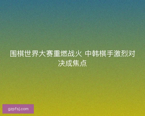 围棋世界大赛重燃战火 中韩棋手激烈对决成焦点