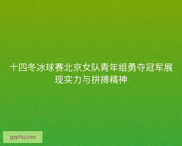 十四冬冰球赛北京女队青年组勇夺冠军展现实力与拼搏精神
