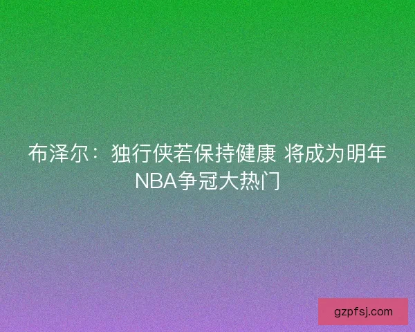 布泽尔：独行侠若保持健康 将成为明年NBA争冠大热门